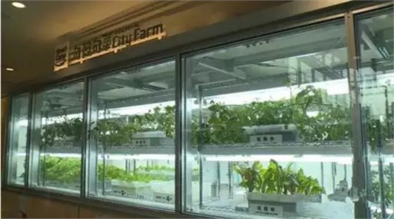 醫(yī)藥產(chǎn)業(yè)成果的輸出