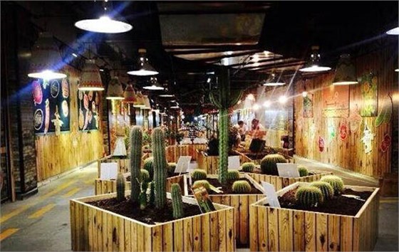 生態(tài)種植、休閑農(nóng)場(chǎng)