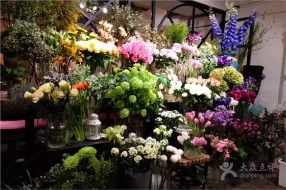 Monceau Lifestyle茉頌 Monceau Lifestyle茉頌