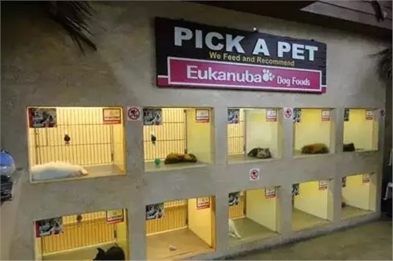 寵物用品中心&mdash;The Pet Safari