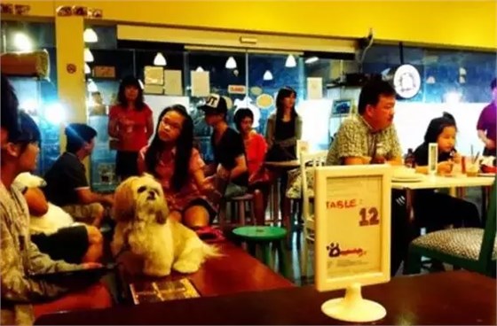 萌寵主題餐廳&mdash;DoggiestyleCafé