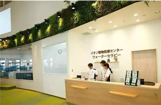 日本永旺夢樂城幕張新都心