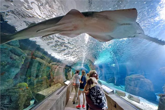 美國摩爾購物中心 美國摩爾購物中心