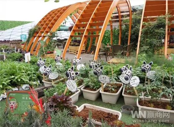 步步高梅溪新天地 步步高梅溪新天地