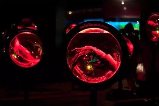 泰國Siam Paragon 泰國Siam Paragon