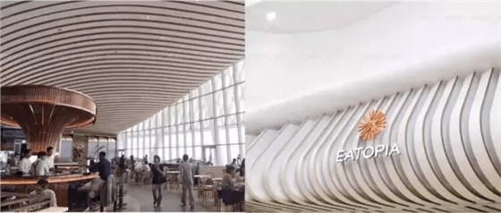 EATOPIA：美食&ldquo;烏托邦&rdquo;