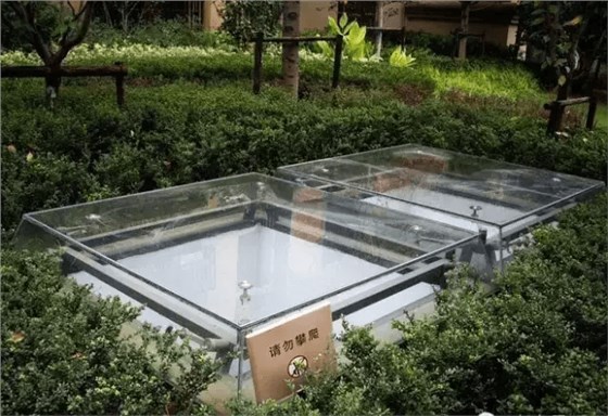 更多采光井意向圖