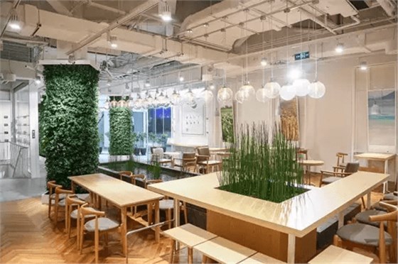 韓國(guó)化妝品牌悅詩(shī)風(fēng)吟innisfree：健康茶飲、甜點(diǎn)、咖啡