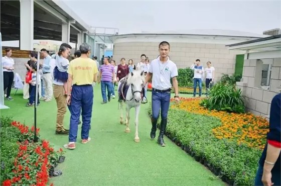 重慶愛琴海購物公園：全國首創(chuàng)屋頂馬術(shù)俱樂部