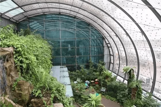 連蝴蝶也有？世界上首家機(jī)場(chǎng)蝴蝶生態(tài)園