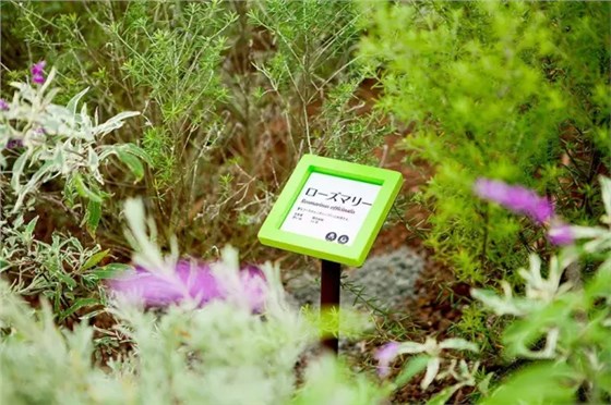 日本Grand tree：超大的親子屋頂花園