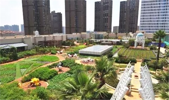 昆明愛琴海購(gòu)物公園：天空農(nóng)場(chǎng)