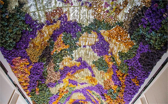 墨爾本伊斯特蘭購物中心:15萬朵干花打造“飄香”天幕 墨爾本伊斯特蘭購物中心:15萬朵干花打造“飄香”天幕