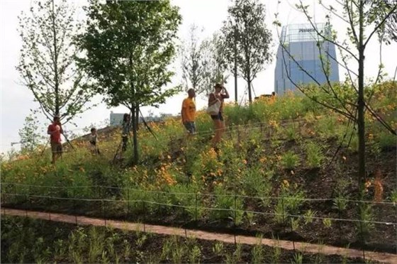 美國坎伯蘭公園