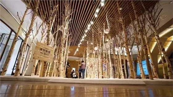 SCENE DISPLAY SCENE DISPLAY