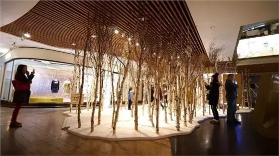 SCENE DISPLAY SCENE DISPLAY