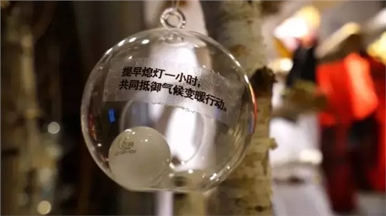 SCENE DISPLAY SCENE DISPLAY