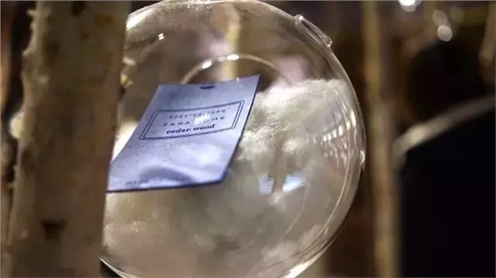 SCENE DISPLAY SCENE DISPLAY