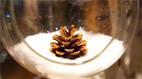 SCENE DISPLAY SCENE DISPLAY