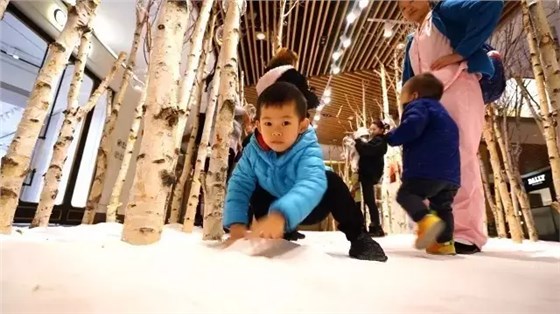 Beauty Show Beauty Show