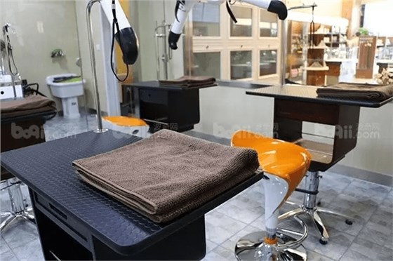 北京大悅城 寵物樂園 Mr. Doggy