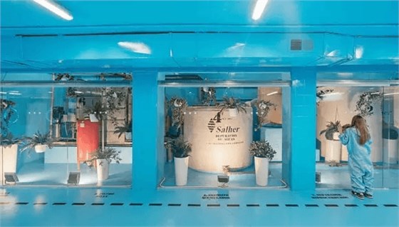 西班牙馬德里 Burbucar Car Wash