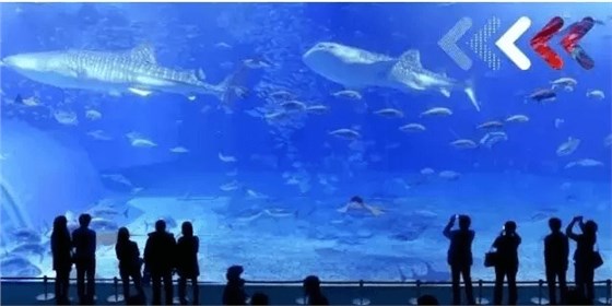 武漢綠地606繽紛城&mdash;&mdash;刷新武漢乃至華中商業(yè)&ldquo;新高度&rdquo;