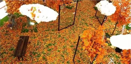 上海大悅城 上海大悅城