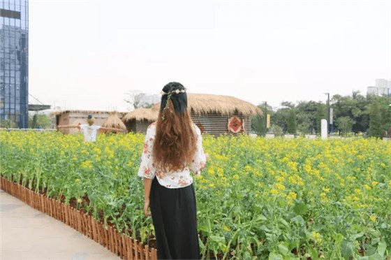 深圳龍華星河iCO 深圳龍華星河iCO