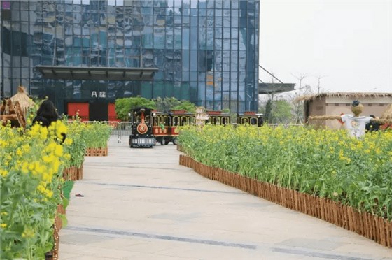 深圳龍華星河iCO 深圳龍華星河iCO