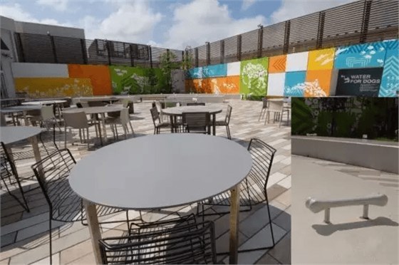 專門開辟的狗與主人的共同休息區(qū)，還有栓狗樁呢