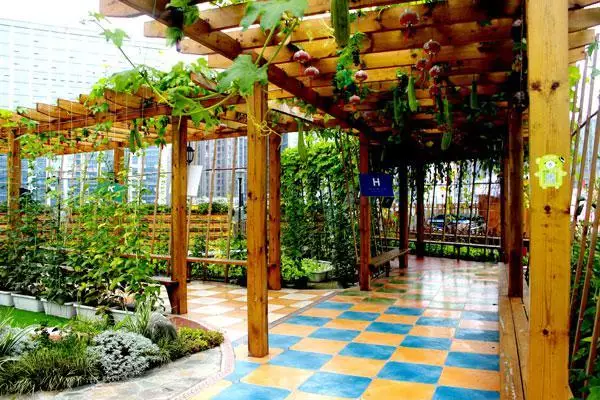 長沙步步高梅溪新天地坊田天空農場