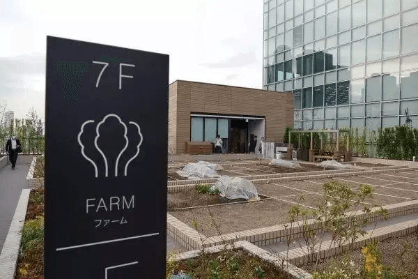 Soradofarm 露天菜園