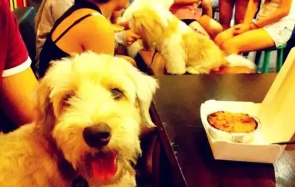 萌寵主題餐廳&mdash;DoggiestyleCafé