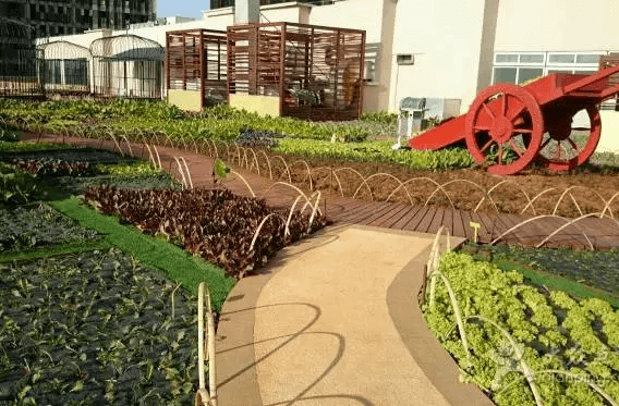 昆明愛(ài)琴海購(gòu)物公園：天空農(nóng)場(chǎng)