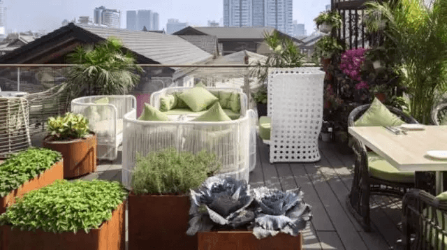 &ldquo;植物&rdquo;主題餐廳