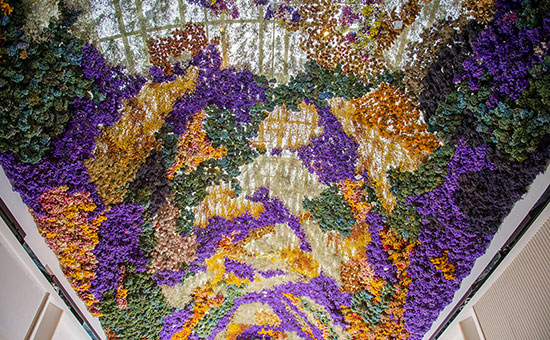 墨爾本伊斯特蘭購物中心：15萬朵干花打造&ldquo;飄香&rdquo;天幕