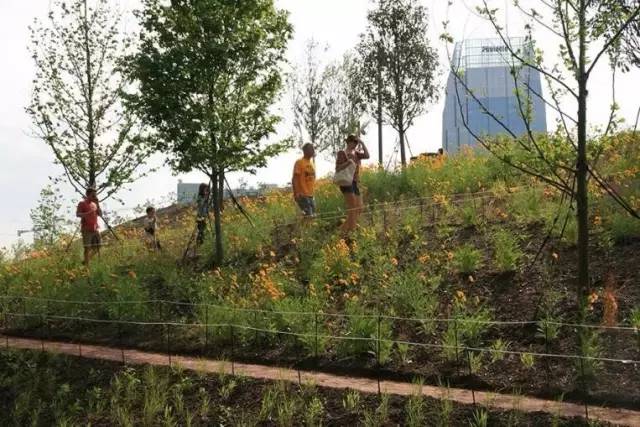 美國(guó)坎伯蘭公園