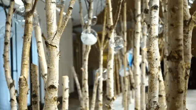 K11 純&middot;圣誕