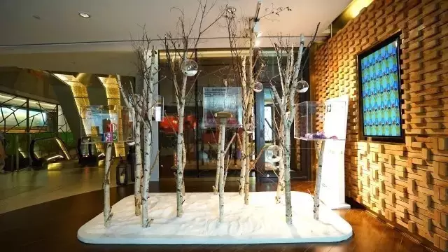 Visual Merchandising