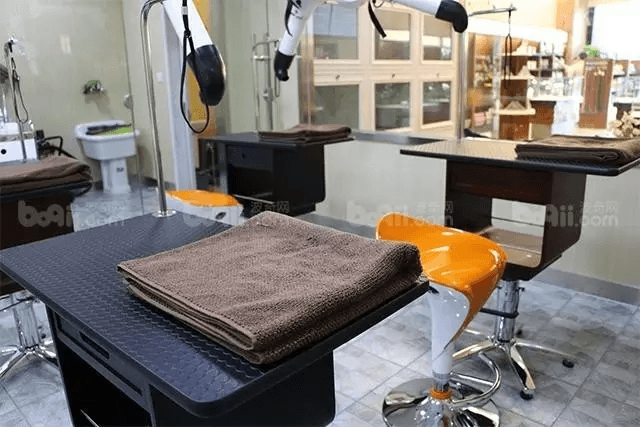 北京大悅城 寵物樂園 Mr. Doggy