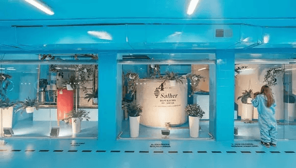 西班牙馬德里 Burbucar Car Wash