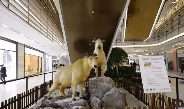 協(xié)信星光廣場