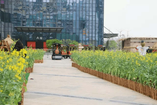 深圳龍華星河iCO